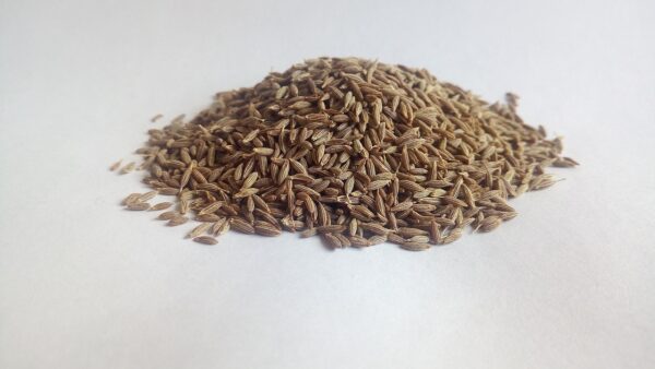 European Cumin Seeds