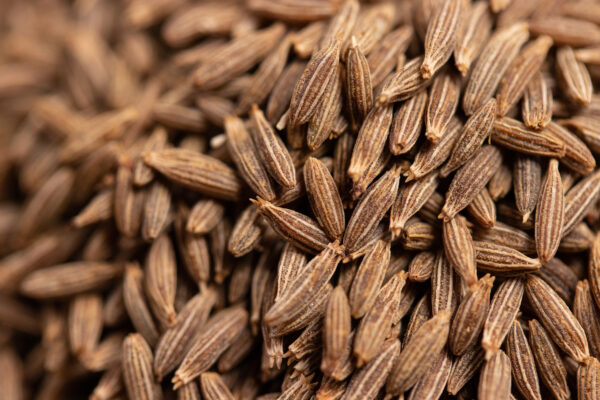 European Bold Cumin Seeds