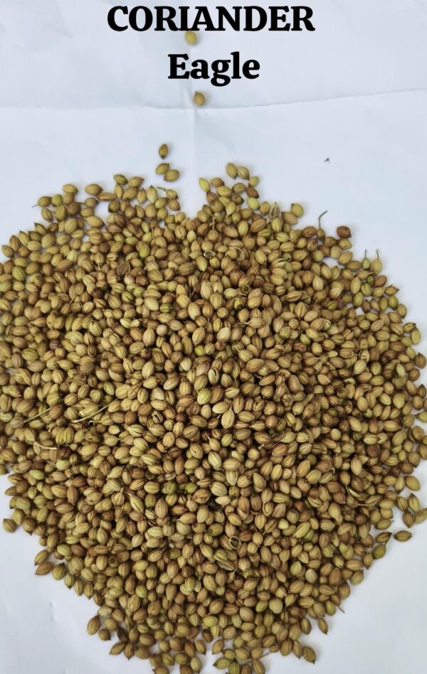Eagle Coriander Seeds