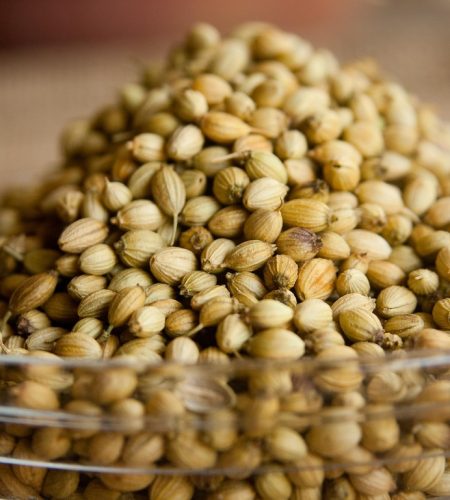 coriander-390708_1280