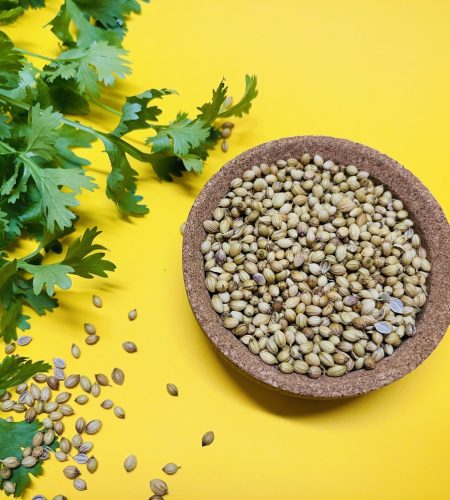 vecteezy_coriander-seeds-in-a-bowl-and-green-fresh-cilantro-the_48477410