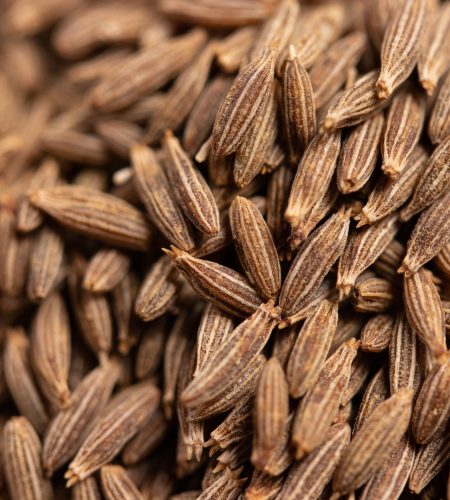 close up of dried cumin seeds, important spice in curry and massaman curry